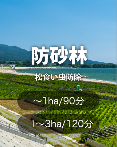 防砂林、松食い虫防除、マツクイムシ