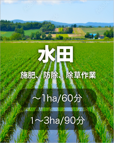 水田