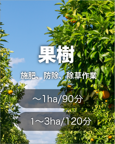 果樹