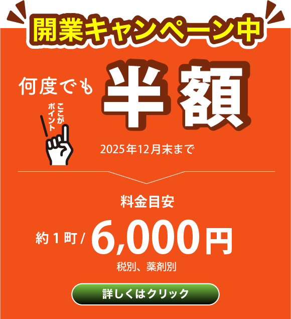 開業キャンペーン半額バナー