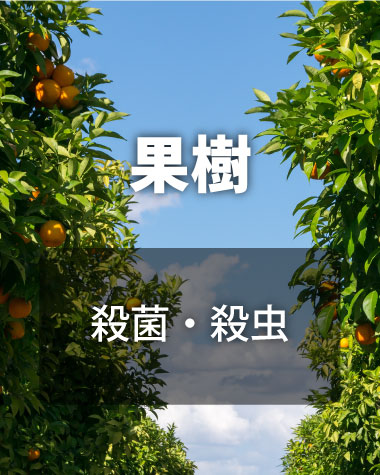 果樹園、殺菌、殺虫