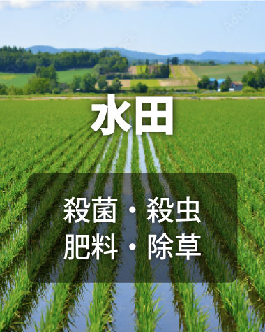 水田防除、水稲防除。いもち病、カメムシ