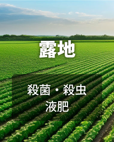 露地栽培、殺菌、殺虫