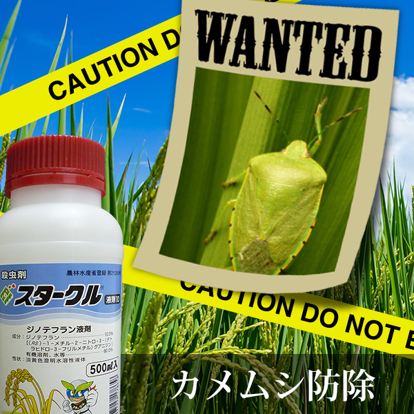 カメムシ防除バナー