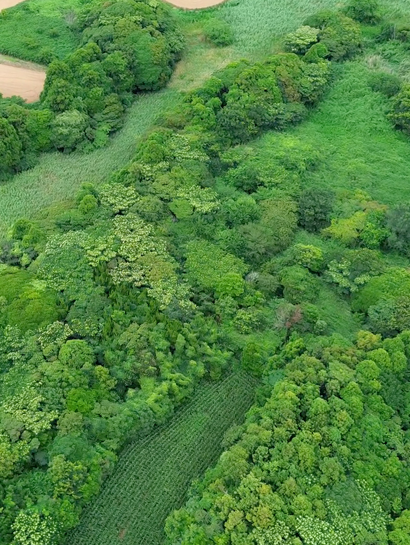あさひドローンサービスメイン画像