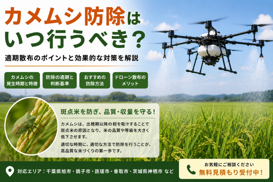 カメムシ防除の記事